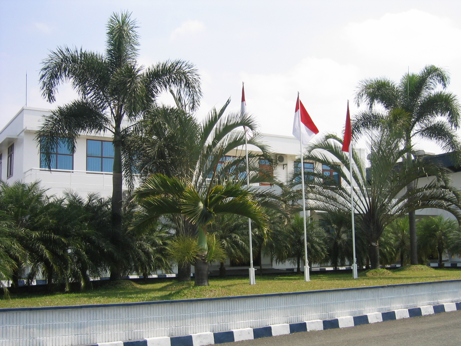 ptmi